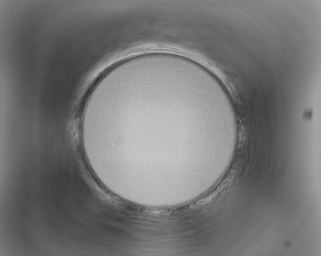 X0000116571503201001211233