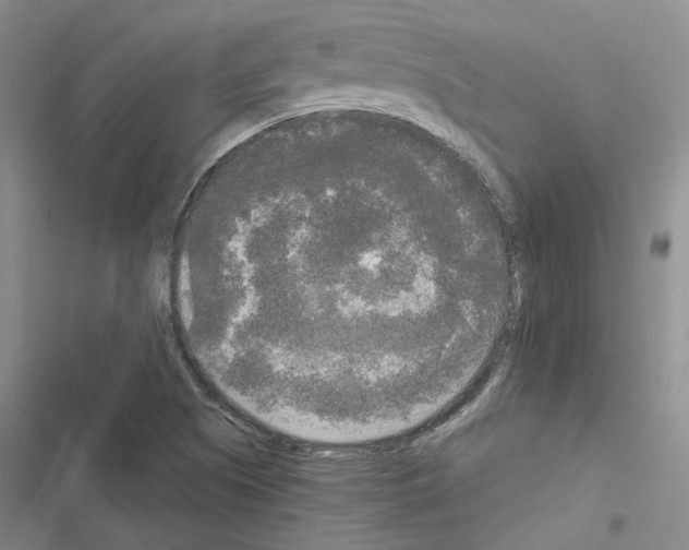 X0000116571505201001211233