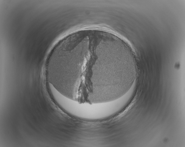 X0000116571506201001211233