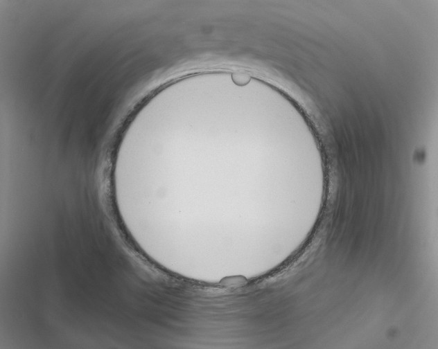 X0000116571507201001211233