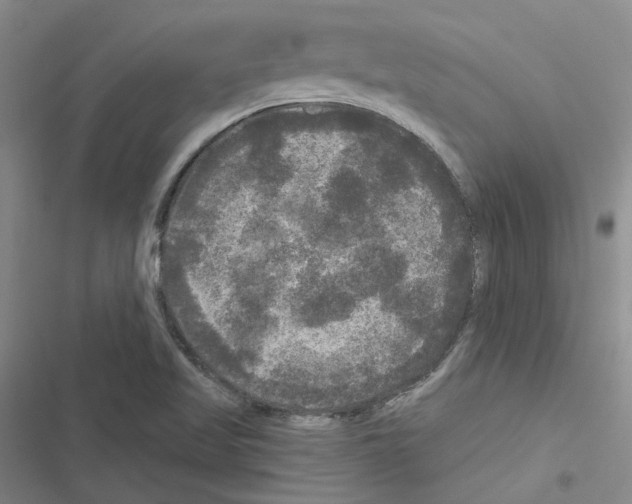 X0000116571509201001211233