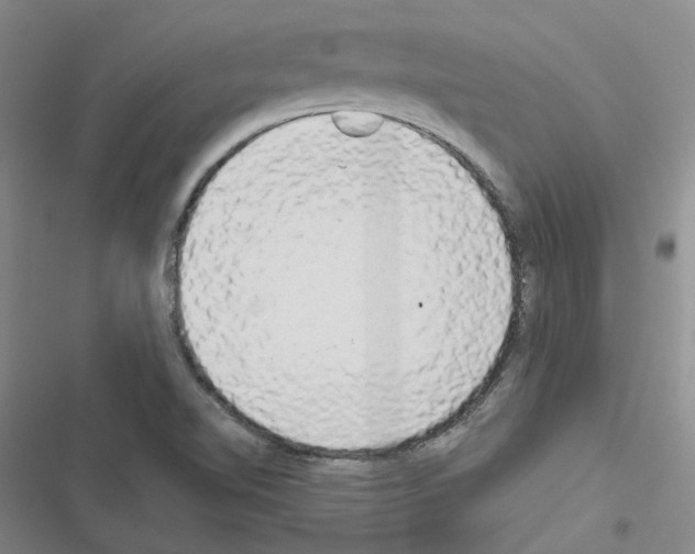 X0000116571510201001211233