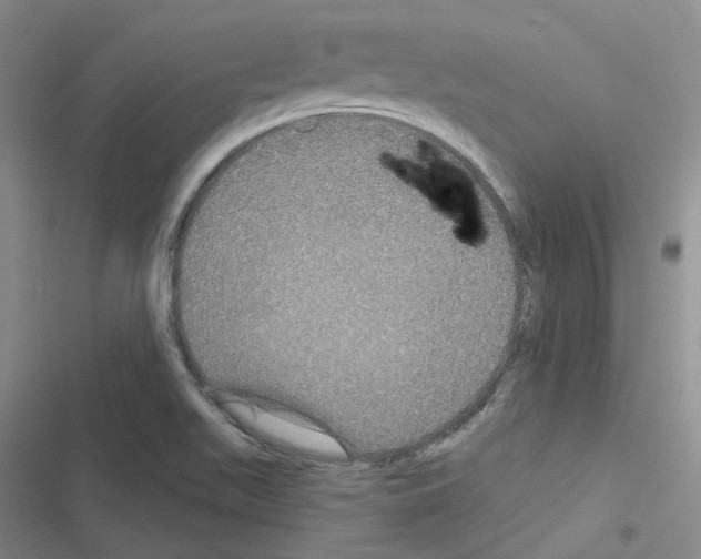 X0000116571511201001211233