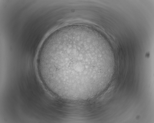 X0000116571514201001211233