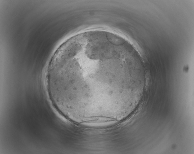 X0000116571519201001211233