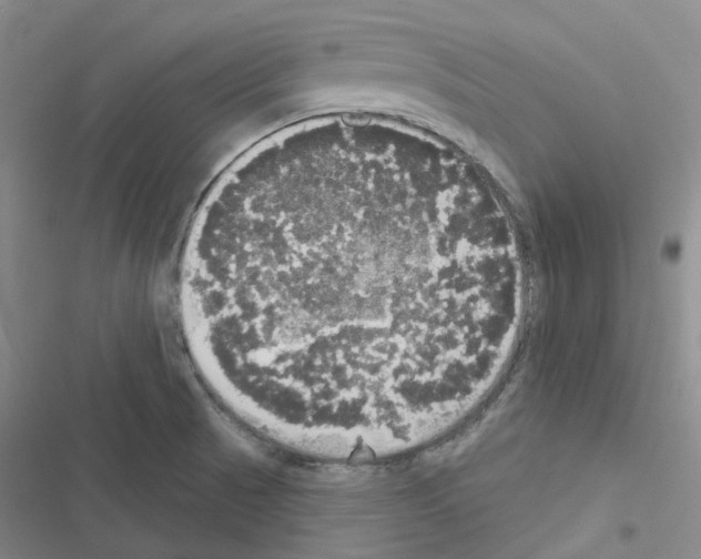 X0000116571521201001211233