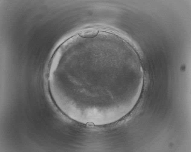 X0000116571522201001211233