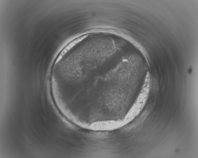 X0000116571533201001211233