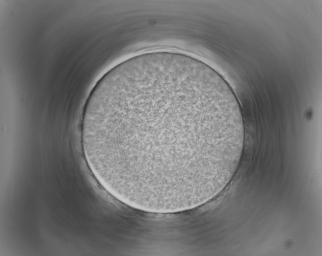 X0000116571534201001211233