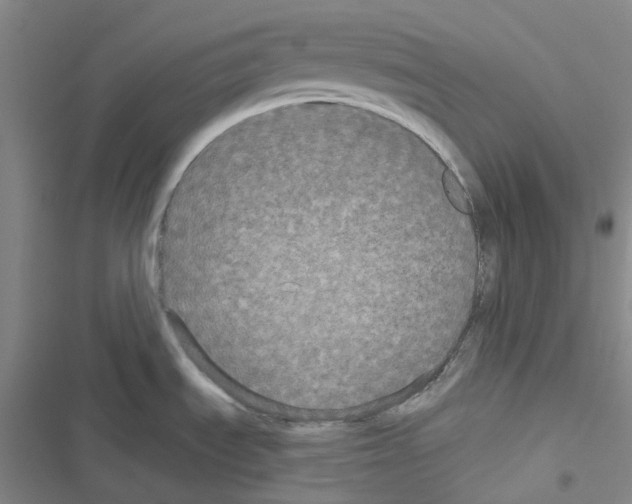 X0000116571535201001211233