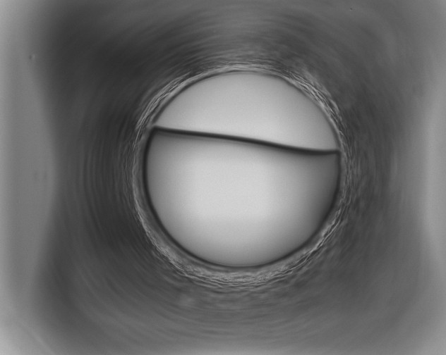 X0000116580001200912101320