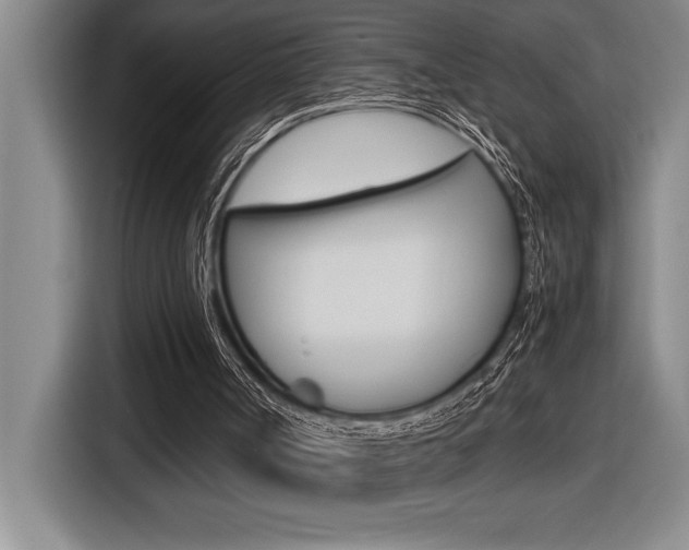 X0000116580002200912101320