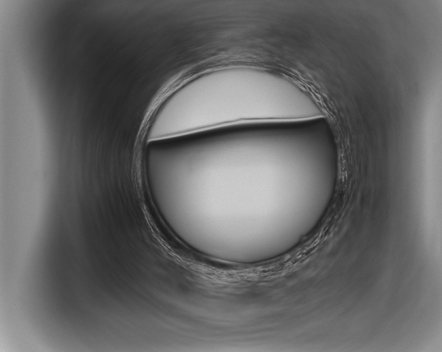 X0000116580004200912101320
