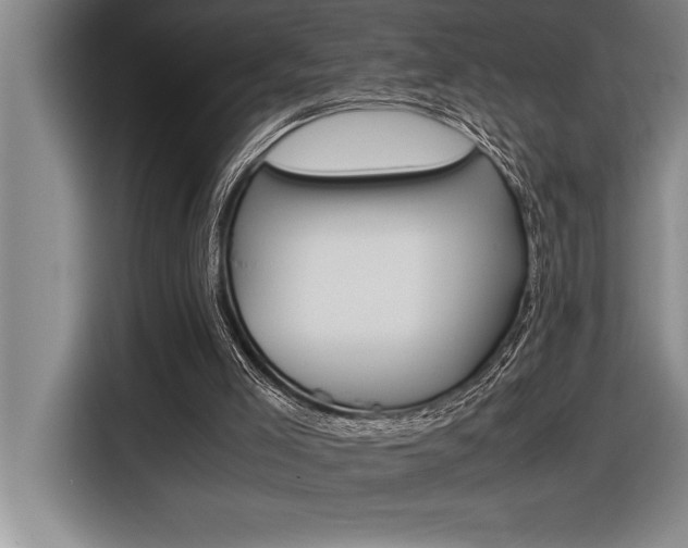 X0000116580005200912101320