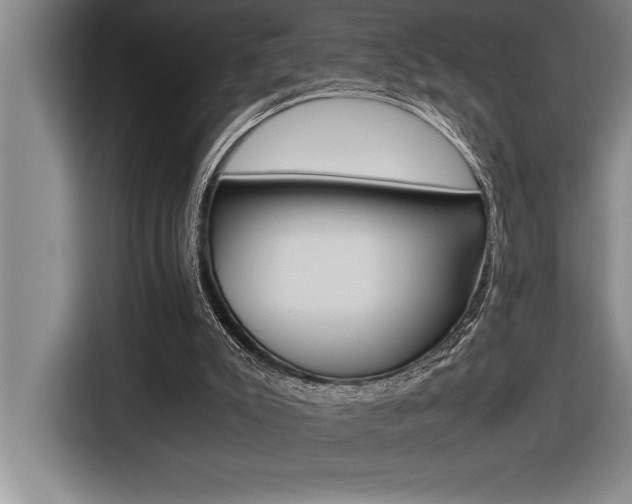 X0000116580007200912101320