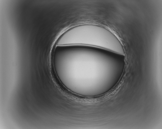 X0000116580008200912101320
