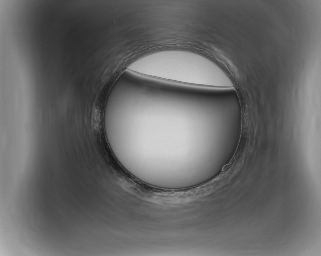 X0000116580025200912101320