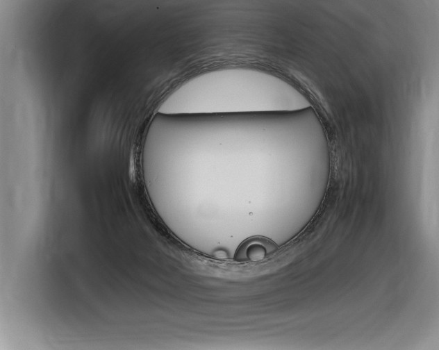 X0000116580026200912101320