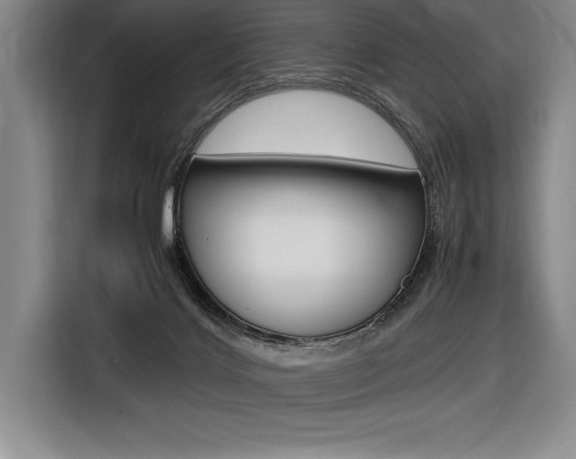 X0000116580028200912101320