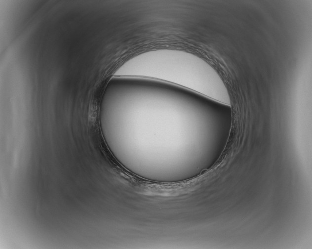 X0000116580033200912101319
