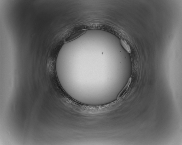 X0000116580037200912101319