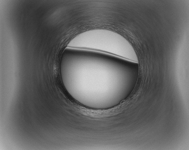 X0000116580039200912101319