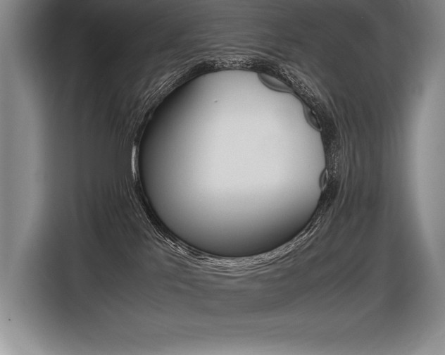 X0000116580041200912101319