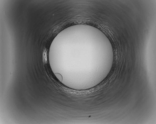 X0000116580042200912101319