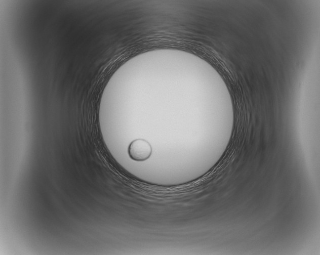 X0000116580043200912101319