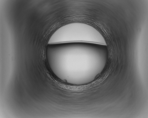 X0000116580044200912101319
