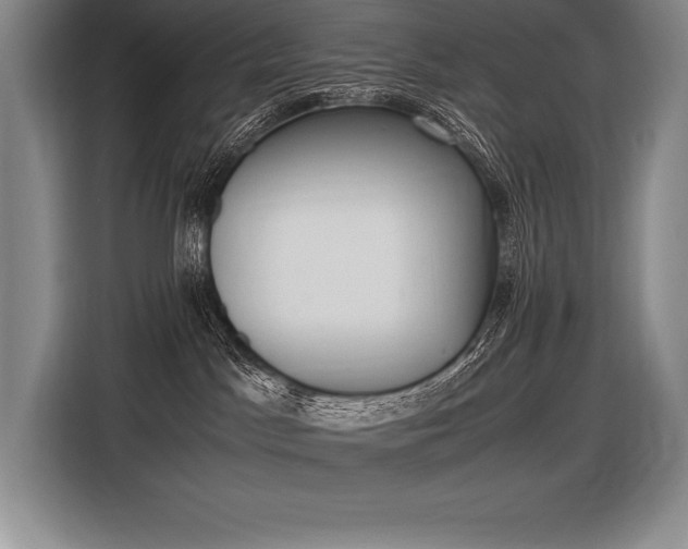 X0000116580045200912101319