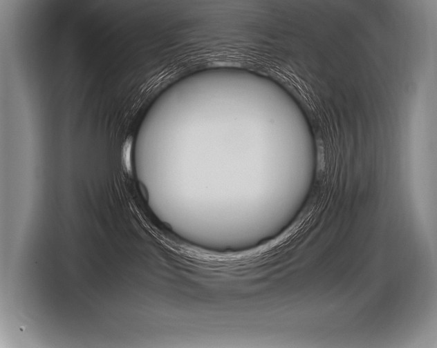 X0000116580047200912101319
