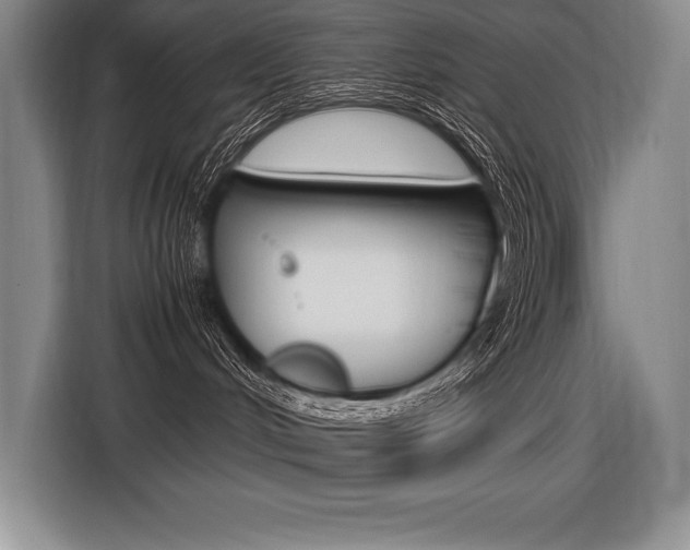 X0000116580048200912101319
