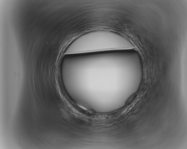 X0000116580049200912101319