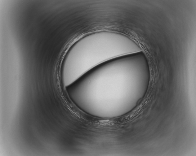 X0000116580050200912101319
