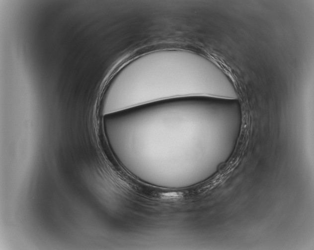 X0000116580053200912101319