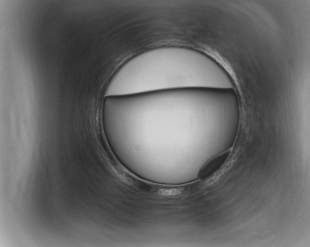 X0000116580057200912101319