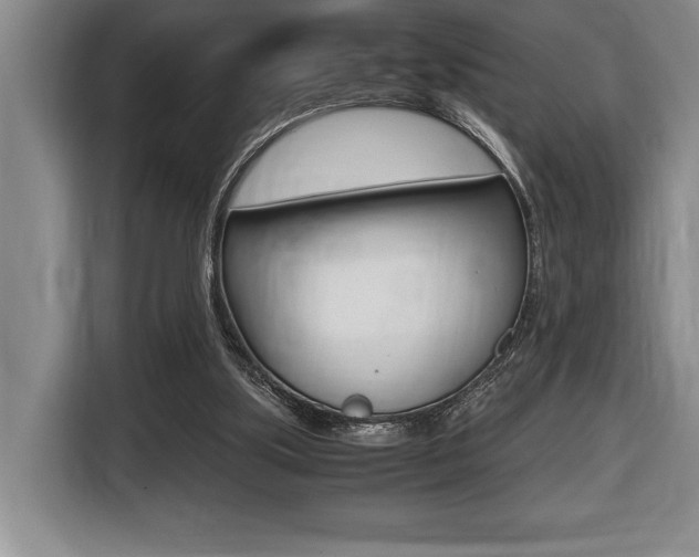 X0000116580059200912101319