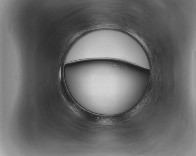X0000116580062200912101319