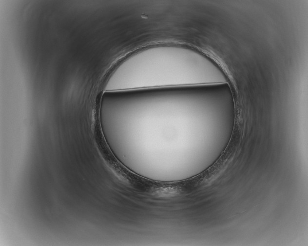 X0000116580063200912101319