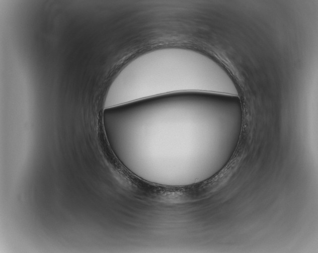X0000116580066200912101319