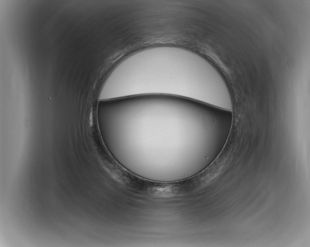 X0000116580068200912101319