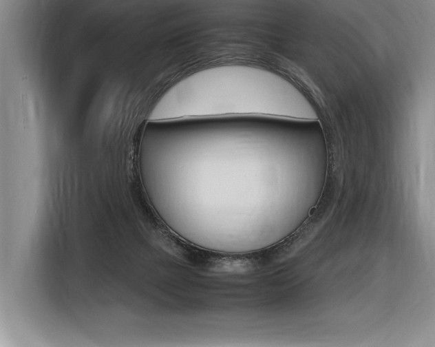 X0000116580073200912101319