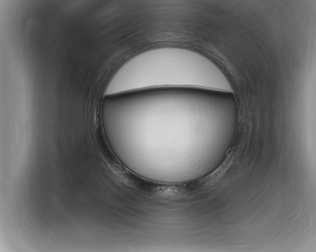 X0000116580074200912101319