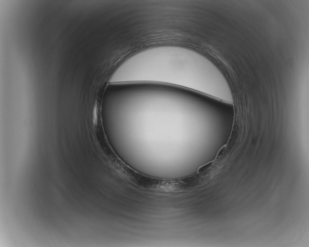 X0000116580076200912101319