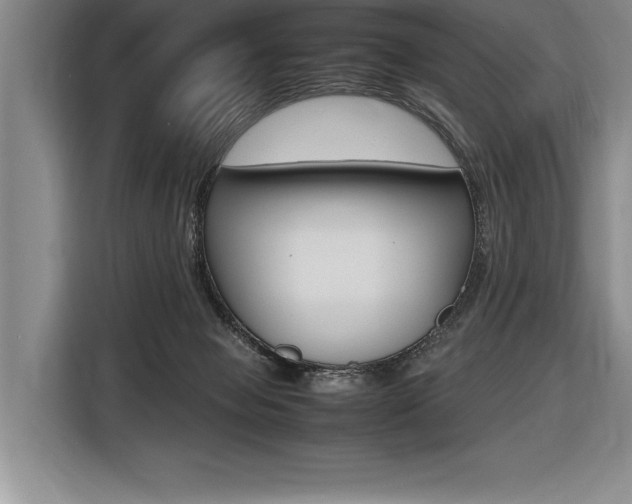 X0000116580077200912101319