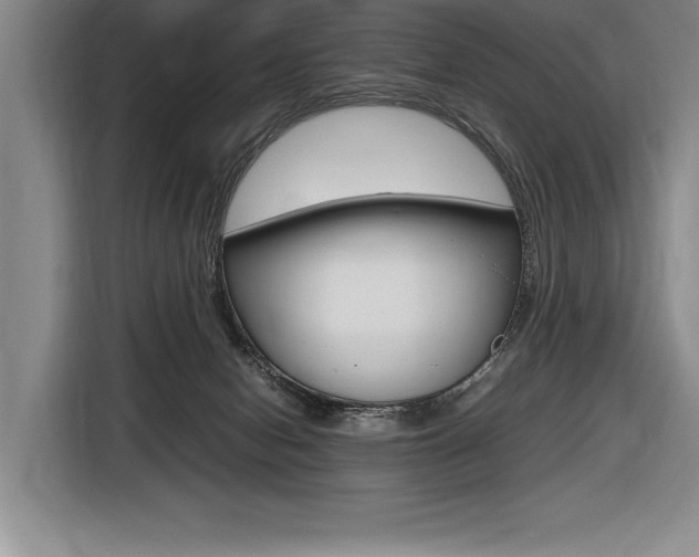 X0000116580078200912101319