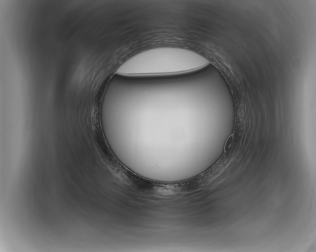 X0000116580079200912101319