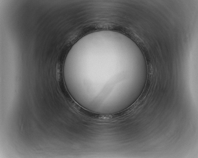 X0000116580080200912101319