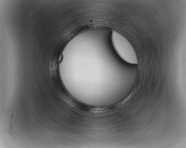 X0000116580082200912101319